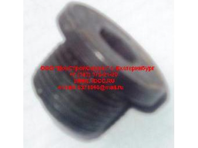 Пробка крышки бортового редуктора М22х1,5 H HOWO (ХОВО) 190003961309 фото 1 Курган