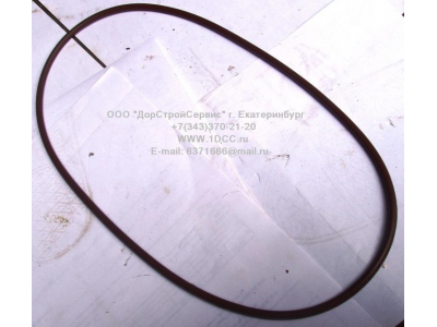 Кольцо уплотнительное задней ступицы F FAW (ФАВ) 2406033 для самосвала фото 1 Курган