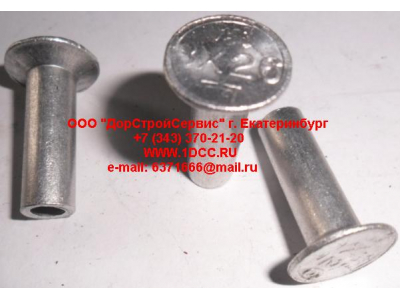 Заклепка 8х24 DF DONG FENG (ДОНГ ФЕНГ) 3501N12-106 для самосвала фото 1 Курган