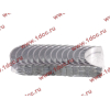 Вкладыши коренные стандарт +0.00 (14шт) LONGGONG CDM833 Lonking CDM (СДМ) 13034908/13034916 фото 2 Курган